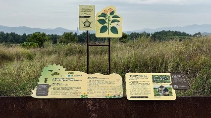 贵州公园标识标牌价格